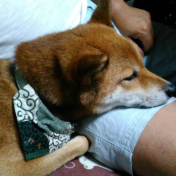 A8e2caaa 9f52 4158 8dd6 44b2d13ffbf1