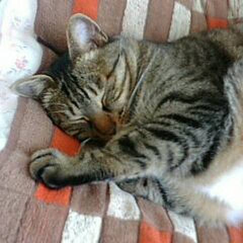 A8e2cc7e 2435 4bd2 b861 9f6d52c15056