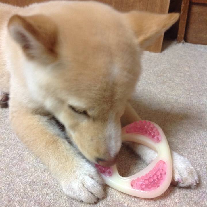 A8e33898 e2b2 4f5f 9ef9 05816c66a6a3