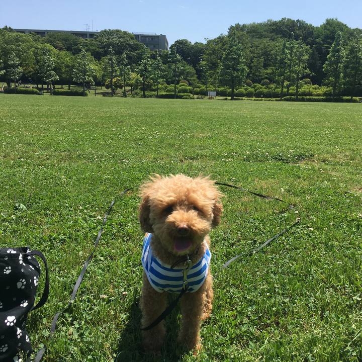 A8e39816 d386 43bb b47f 5c2fa801a01f