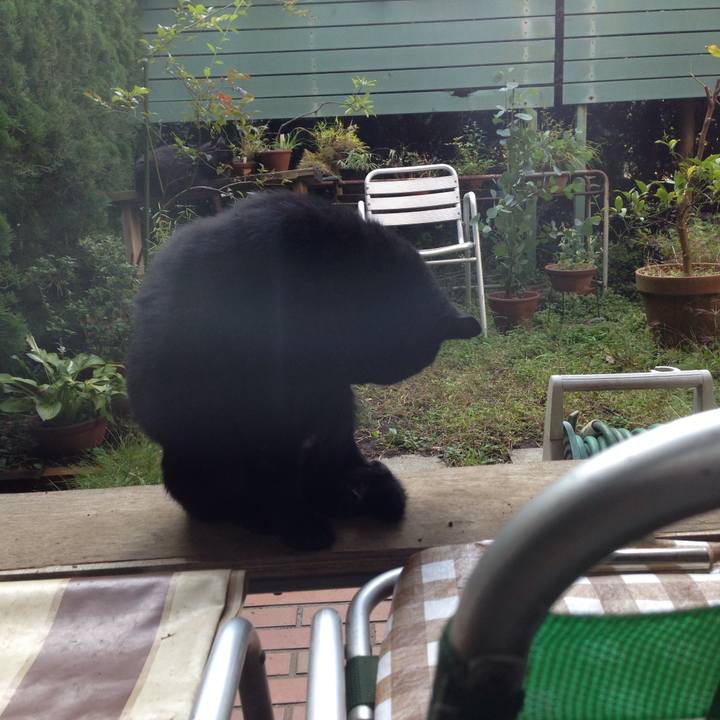 A8e3ccc0 cd12 4b0a bf9a 882b50388b9a