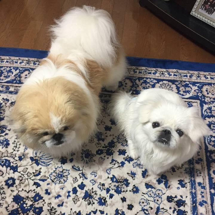 A8e4b2fc 3b74 4d4d bce7 8c4e804c92e9