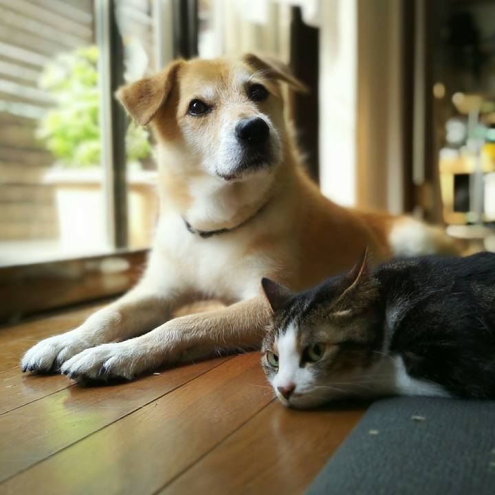 A8e5ac77 a2fc 420f 83b6 e5a121b11532