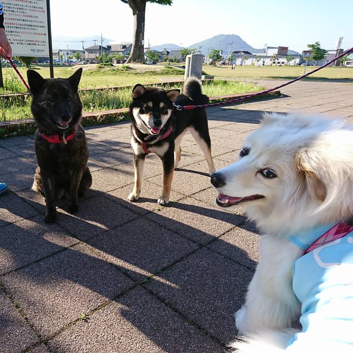 A8e5d9f1 738c 401e 9ab2 f3e137e5d6fb