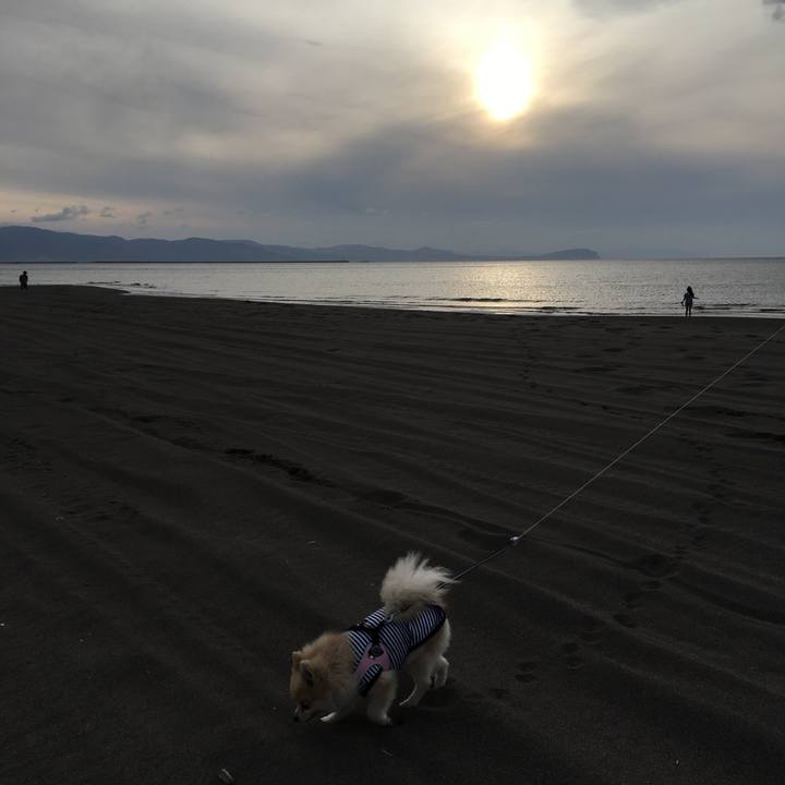 A8e6113b 31f0 4f9c 88e4 d40f1cf422b7