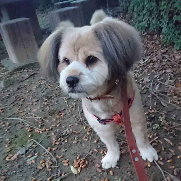 A8e61b87 a70b 40a3 8e84 7fbea65122e3