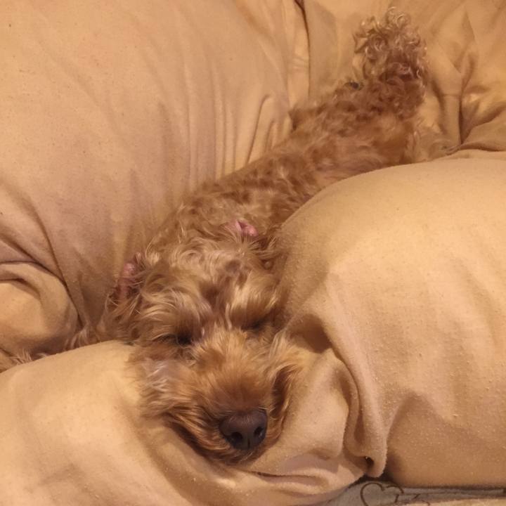 A8e65bce ce1c 4213 8d08 f0eeeb1d00d5