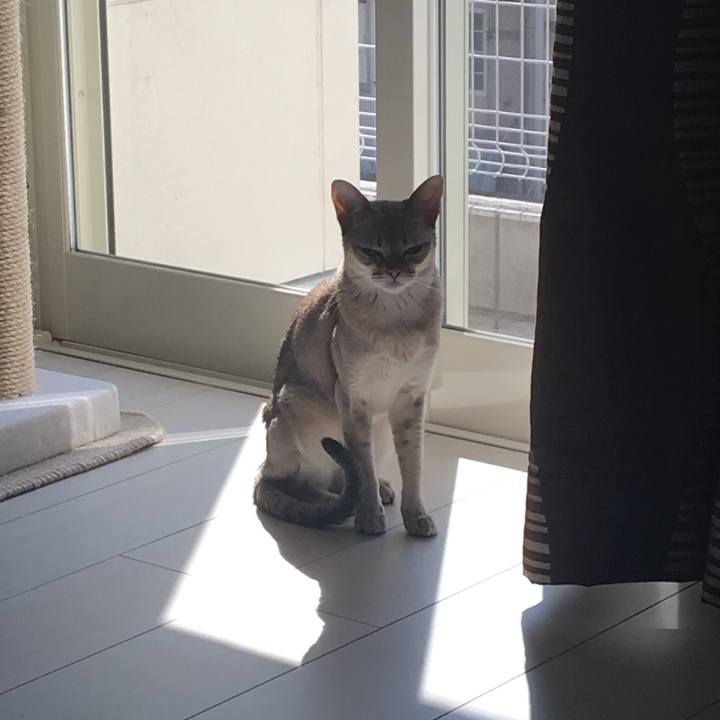 A8e6ed4c cd66 426b 9b21 0647b6469065