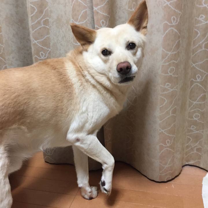 A8e6f942 30d7 4dd8 a5e9 41596b7cf40b