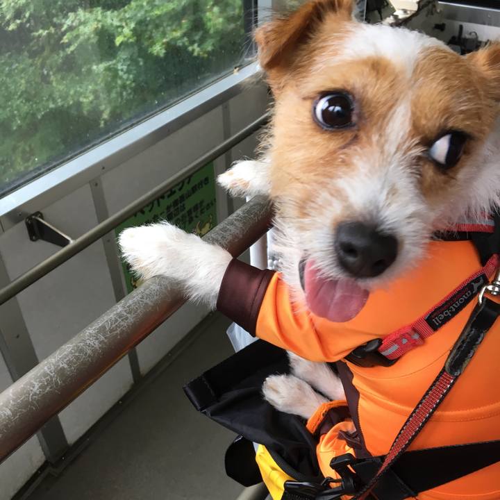 A8e7ac25 eab3 43ff aa56 dde2cefccc86