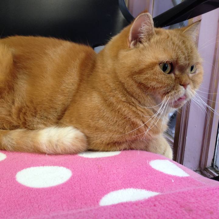 A8e7ba11 3a77 44ef a49e 3d32681e01f3