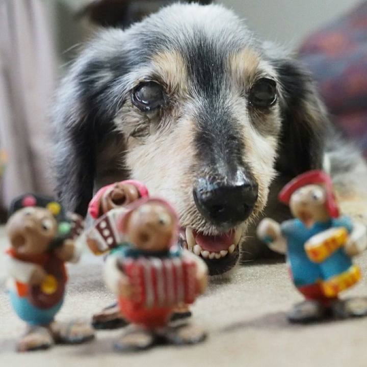 A8e8918a 47fd 4024 9694 7748e7ce7abb