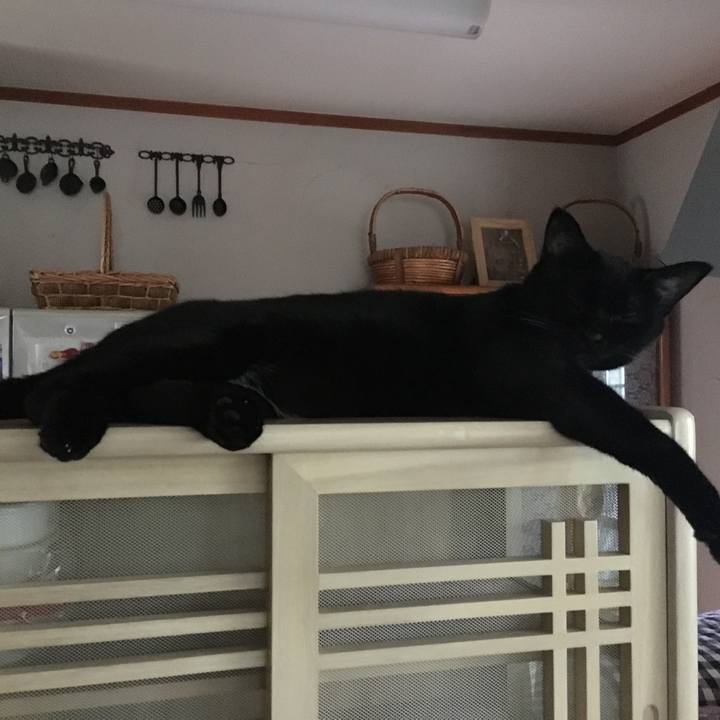 A8e897e3 2154 4caa b917 b99e00b971c0