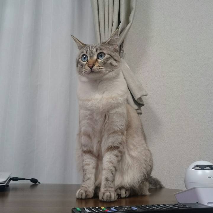 A8e8df6c 0667 4e5d a601 38c96aab856f