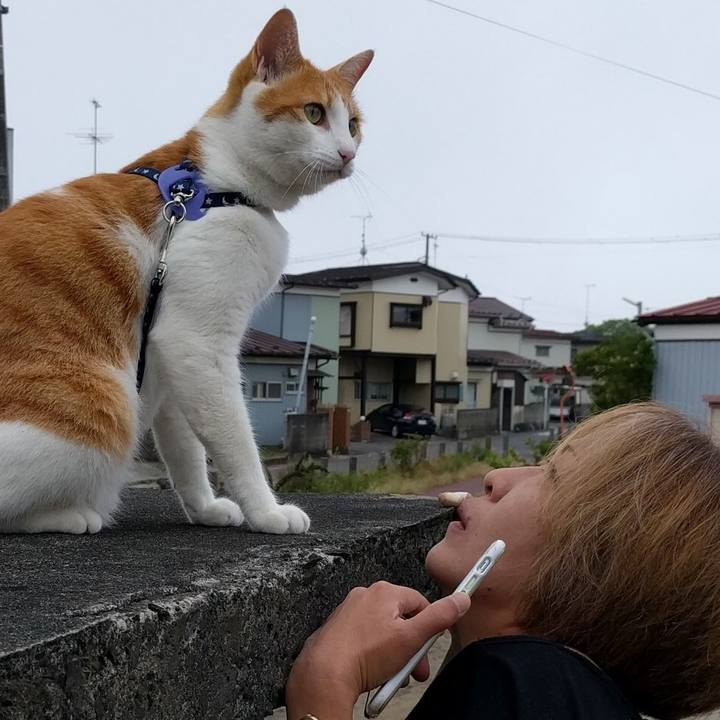 A8e9c045 cb4e 4b22 ae38 b63308a0ad90