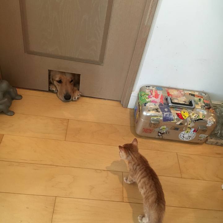 A8ea5bb6 9559 4093 9df4 00d37deb06af