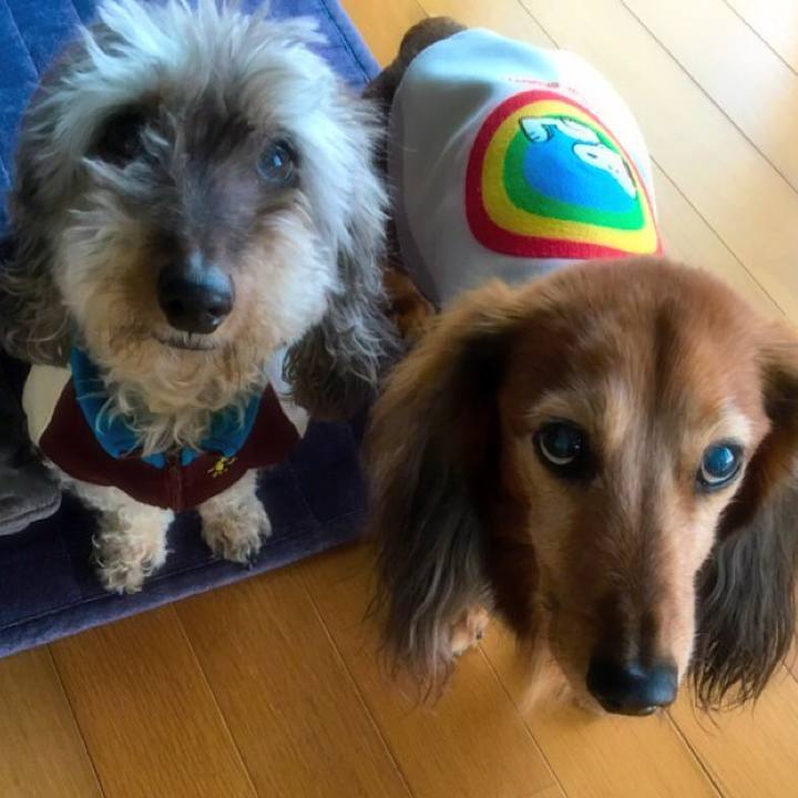 A8ea6254 349e 4bf6 b9aa 575db20883a7