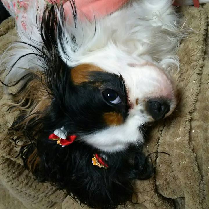 A8eadcb9 9e12 4db4 b614 b492d4bb5a1e