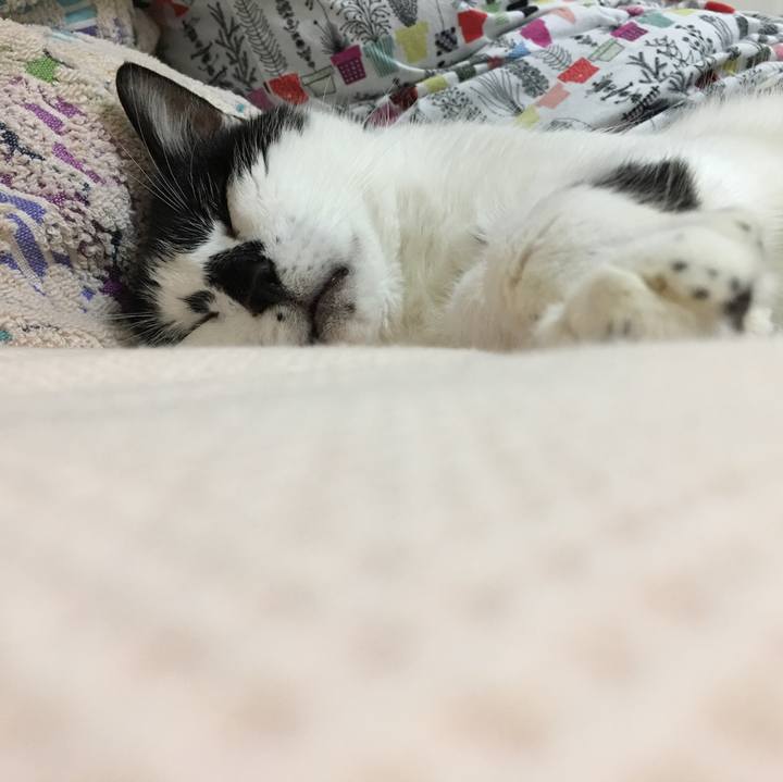 A8eb3ff5 da15 4362 96e1 d1a4b81a3ebb