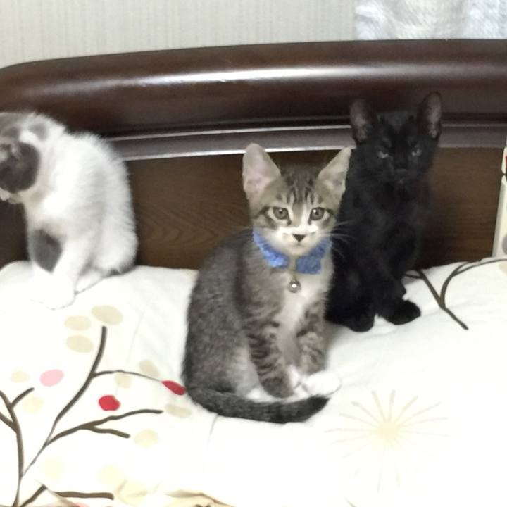 A8eb656a 9ed6 4db7 b4d1 40ba56d98c4e