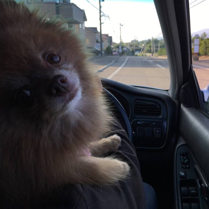 A8eca52e c470 48db b11b 19fd9800e38c