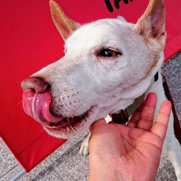 A8ecac01 2e72 4715 9426 78675de7287a