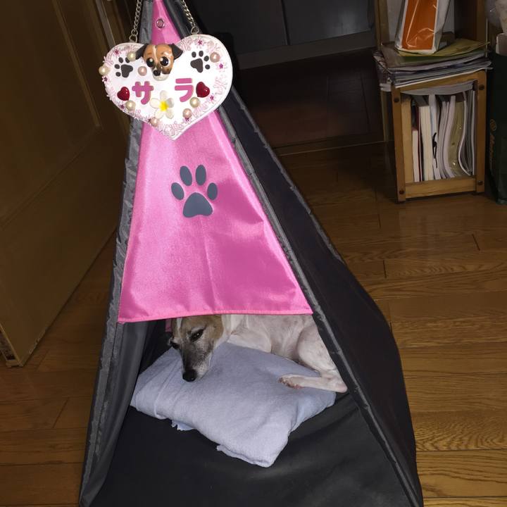 A8ecc3c6 b1b5 446c a11f 59d16f8ffd46