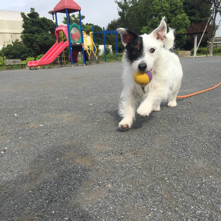 A8ee2267 72fd 4dd1 b1e9 81c6b469d1e6