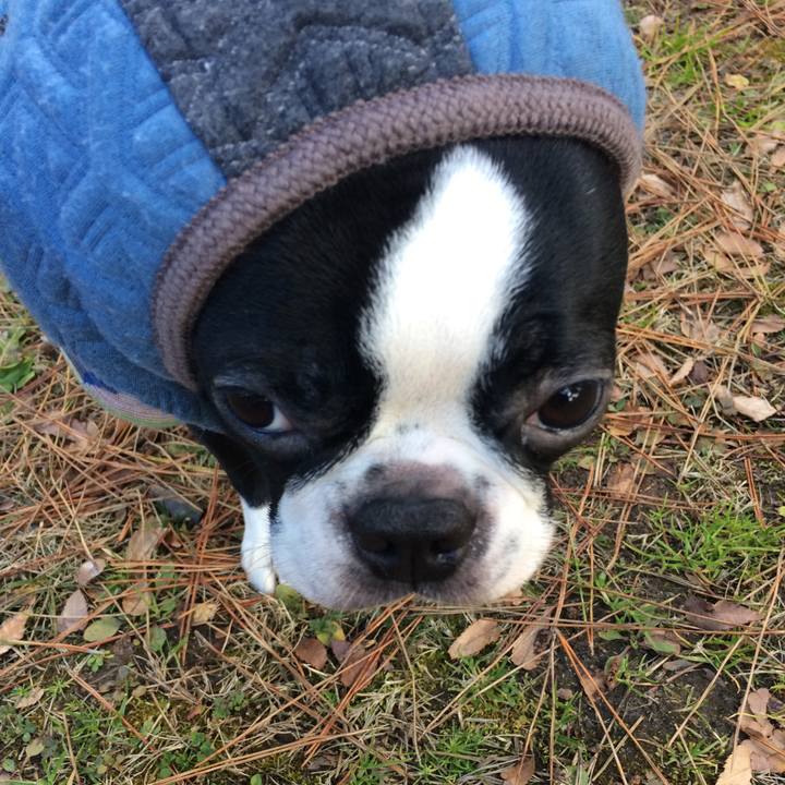 A8ef1c63 9d74 41a6 8773 4726267e95fa