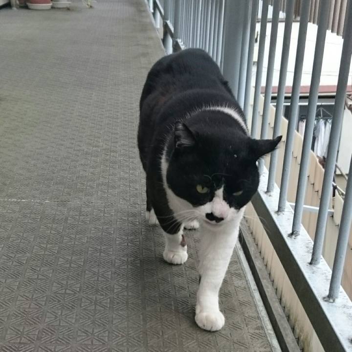 A8f10285 b7a6 4f0b 868d b0cf9e1411a7