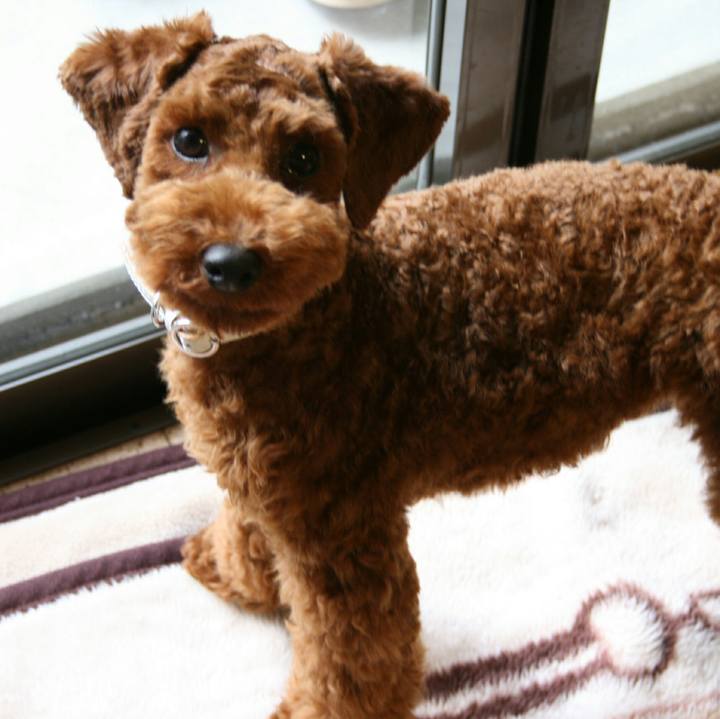 A8f11586 5d43 4832 b4ca da6d83eaab6e