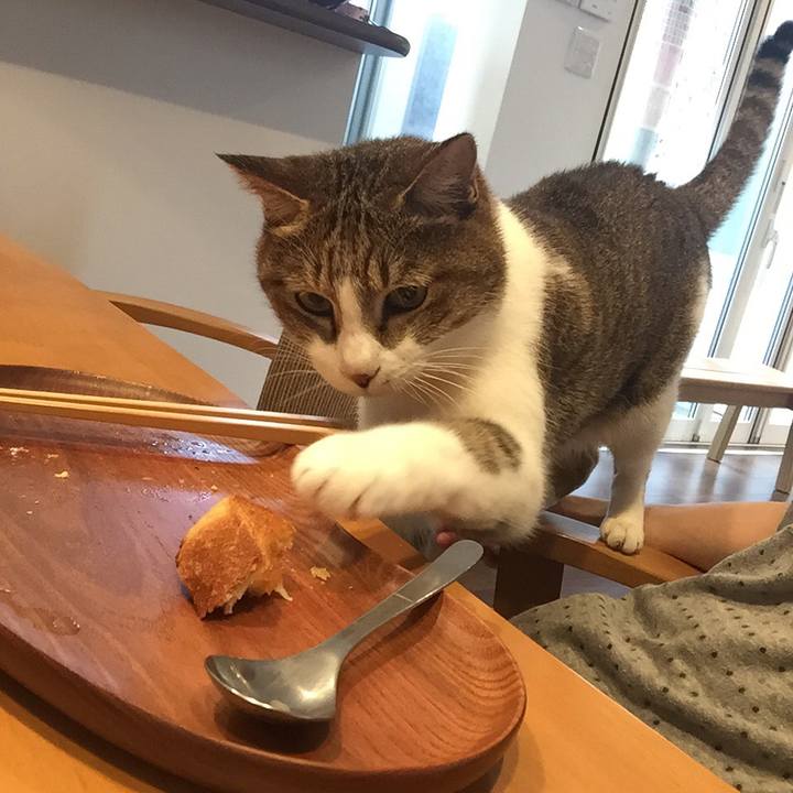 A8f14a10 37b9 47fc 85ab 0ded5461bb6b