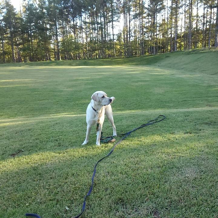 A8f14e40 b4e0 47d3 8755 e82b34c76ec8