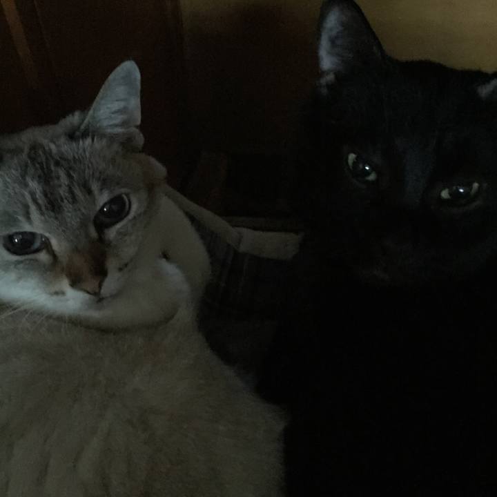 A8f1a5f0 57c6 4b62 810c b8fe42cd062d