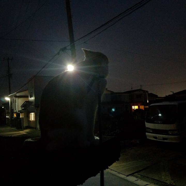 A8f1d372 eae2 44a5 9403 226e31308c12