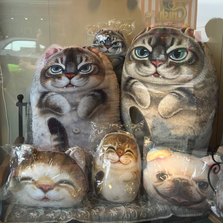 A8f23cb5 1f63 4bc2 8a3f 63bb21b68da2