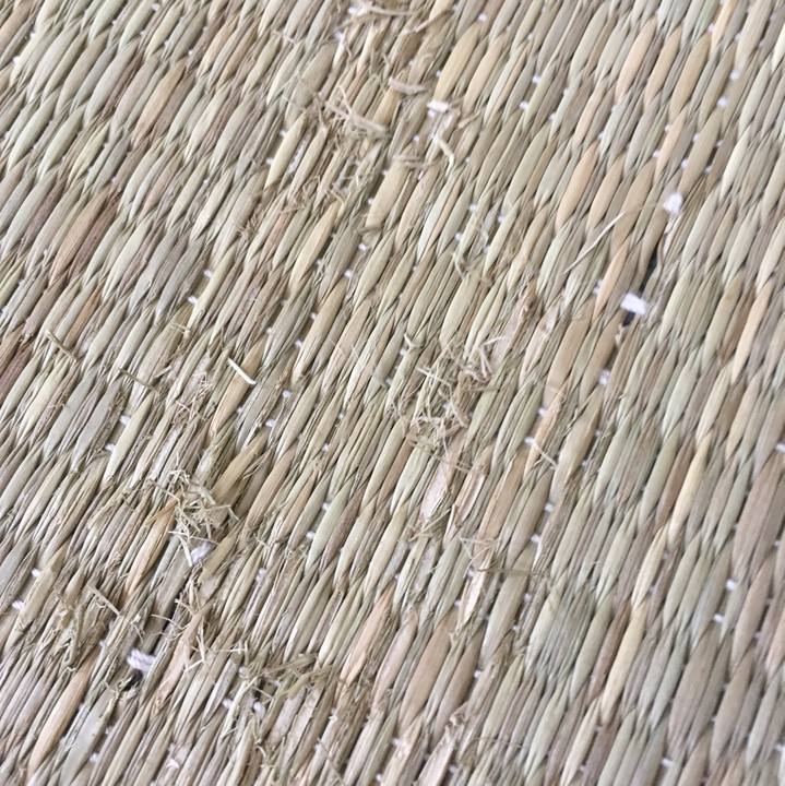 A8f241c9 97e4 414b 8f47 00e8bb7c02d1