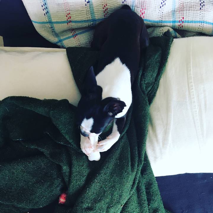 A8f27b09 4960 4f8e 817b e2ebf7df99e8