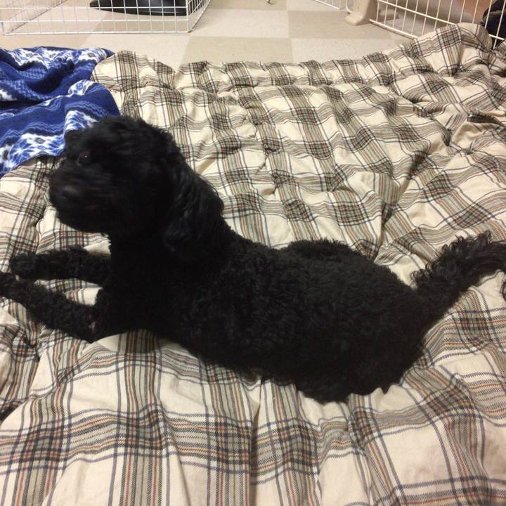 A8f27b3e b006 4561 ac6b c00ee4dffd12