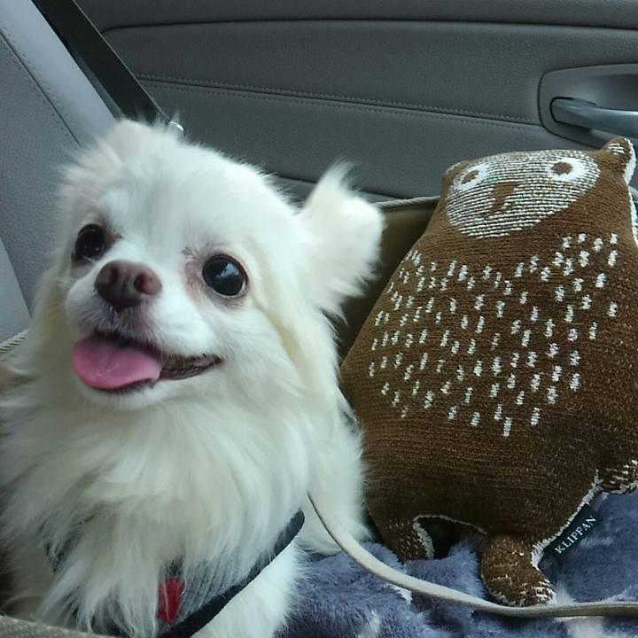 A8f2c151 f3cc 4fcc 876e d700004a9347