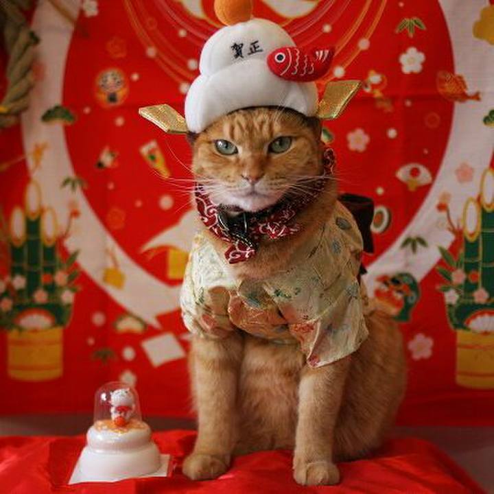 A8f38ce0 c3e5 4dd8 ac81 be42eb7282a8