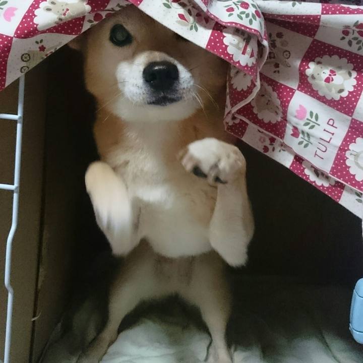 A8f4b773 11a0 4140 a3d3 78d9b63ac2f0