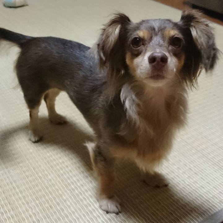 A8f58d46 92d6 4c56 9796 877e548a8260