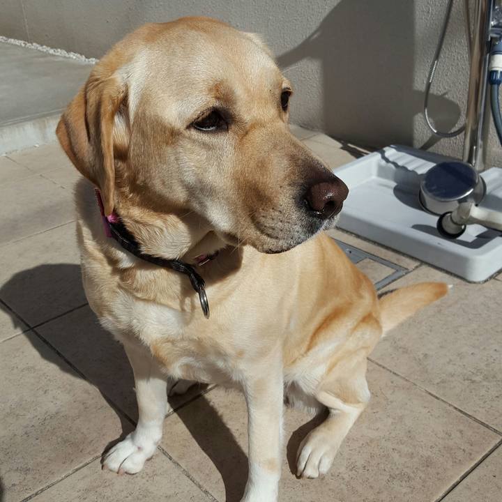 A8f5a4da 5ac8 4430 9b46 21fac3d9dfd8