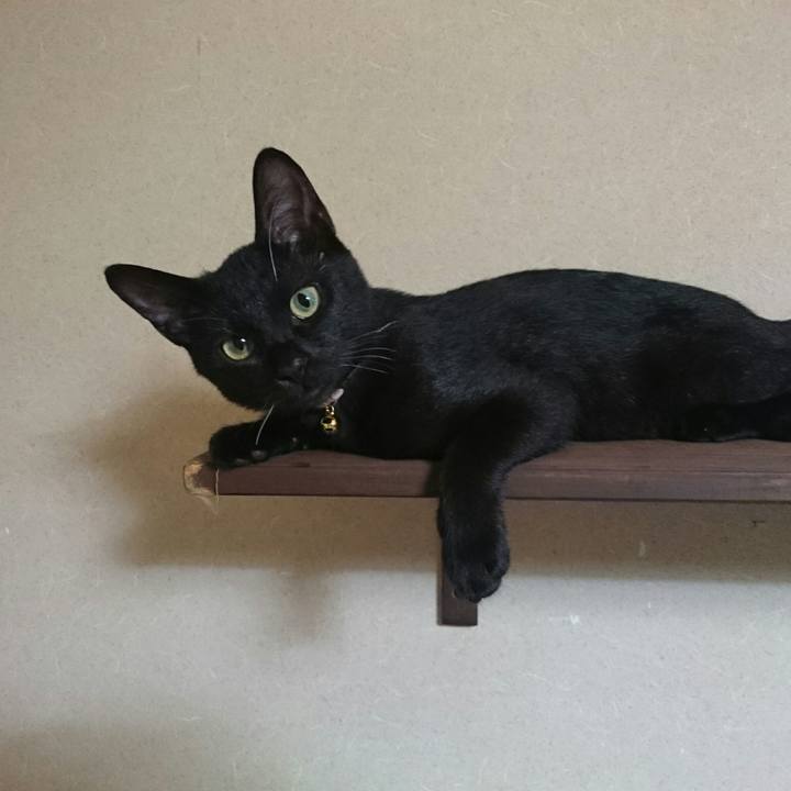 A8f5b42b 2180 48b1 ba99 1380aa6cf50d