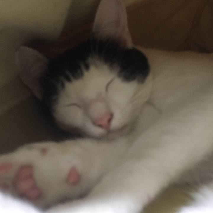 A8f61f9a 288e 431a 937e 9dfffa0d3bfb