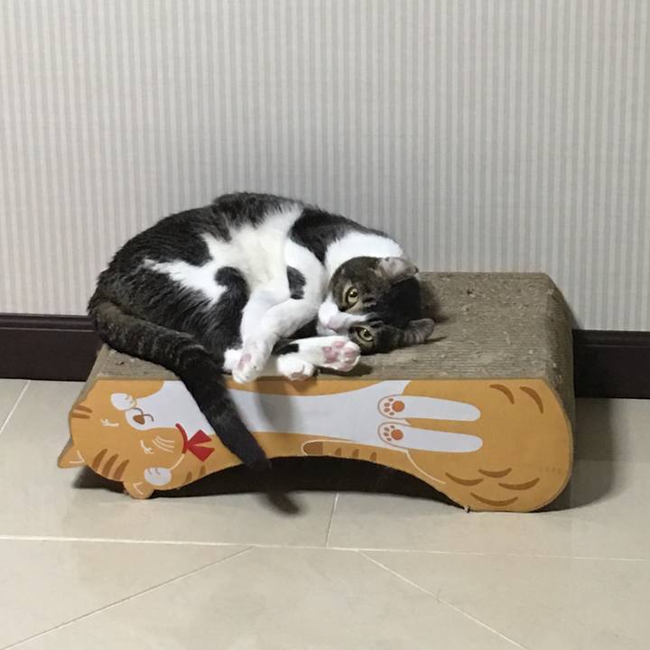 A8f69b58 fcb0 4b39 ac1e 257e8ade2aca