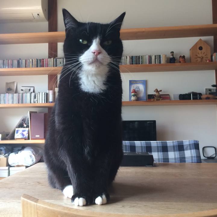 A8f6cb06 7011 4a6b bc3d a30103dfde10