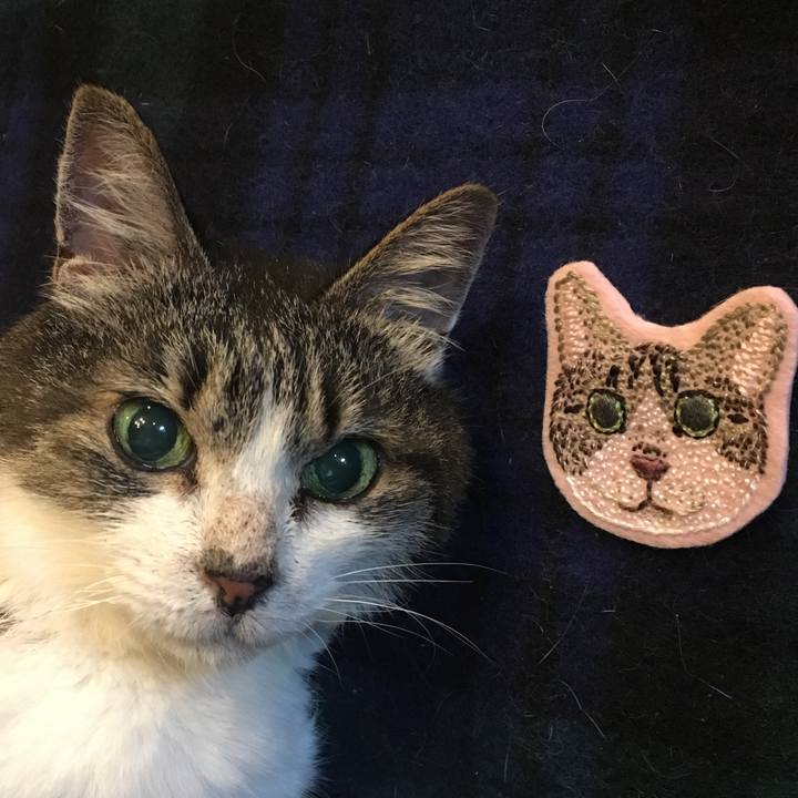 A8f79e2f d5da 4de3 95e1 2e68bf69e454