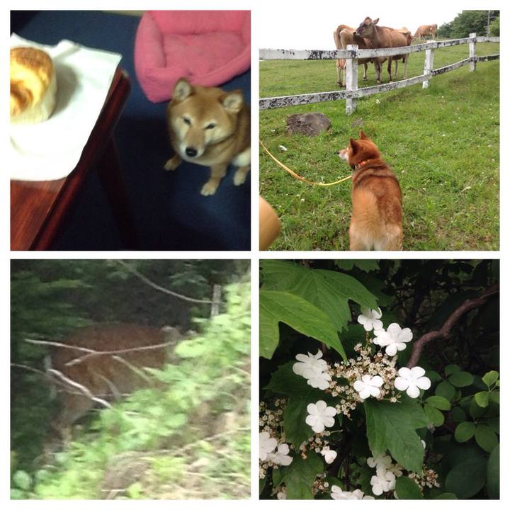 A8f83647 4c24 4209 9707 4a3fc8e666ef